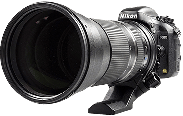 Fekete Nikon D610 fényképezőgép nagy teleobjektívvel, objektívtartóval fehér alapon.