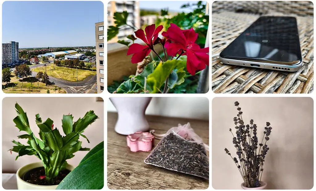 Realme GT 7 eszközzel készült természetfotók
