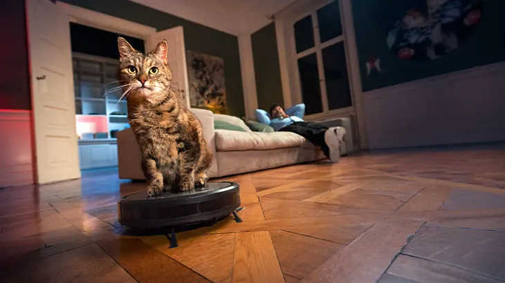 Szobában macska ül egy robotporszívón, a háttérben férfi fekszik a kanapén.