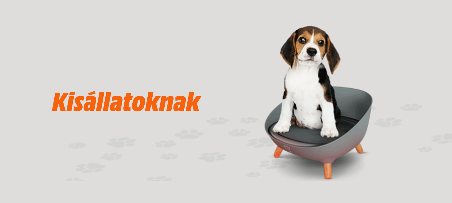 A képen egy beagle ül egy szürke kisállat ágyban, a háttér világos, halvány szürke, narancssárga "Kisállatoknak" felirattal.