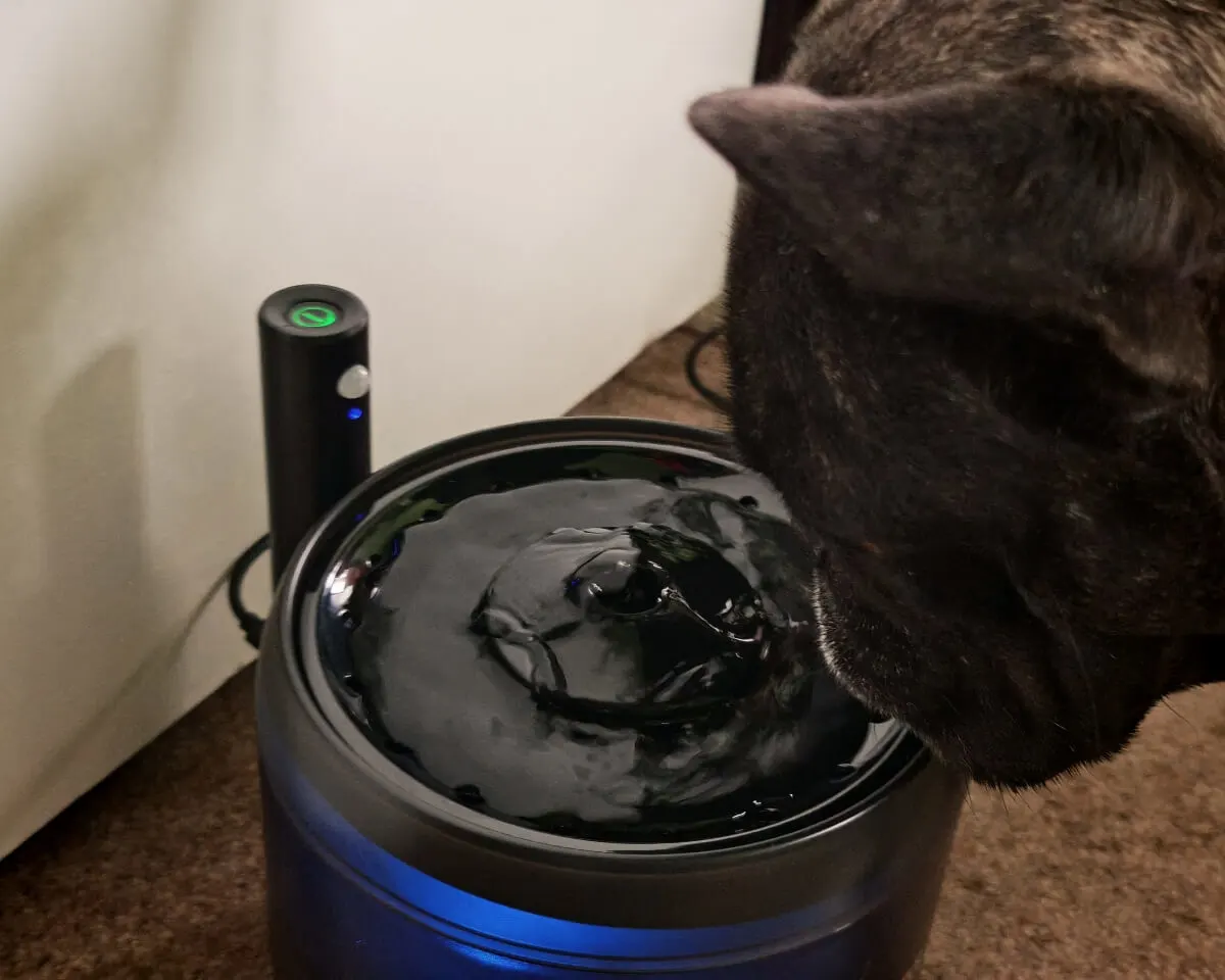 Philips Pet Series intelligens itató