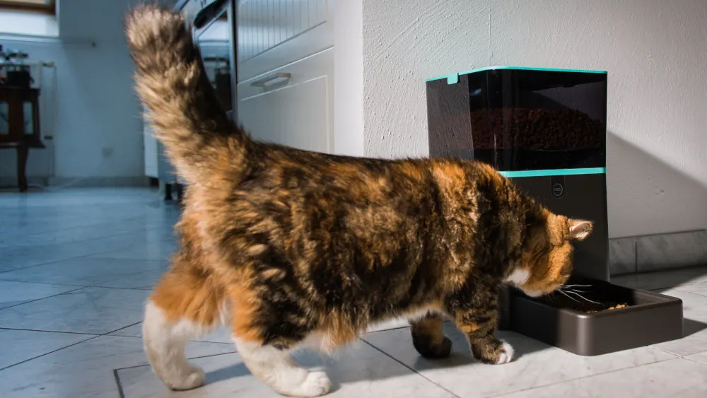 Eine getigerte Katze isst aus einem braunen Futterautomaten mit türkisfarbenen Akzenten auf einem gefliesten Boden.