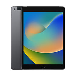 iPad Vorschaubild