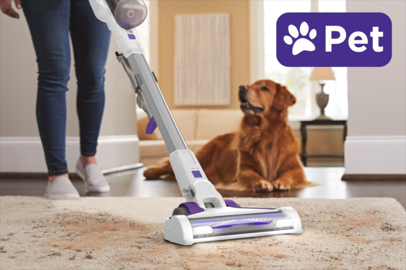 Staubsauger reinigt Teppich vor liegendem Hund. Violettes Haustier-Logo im Hintergrund. Person in Jeans und Schuhen steht links.