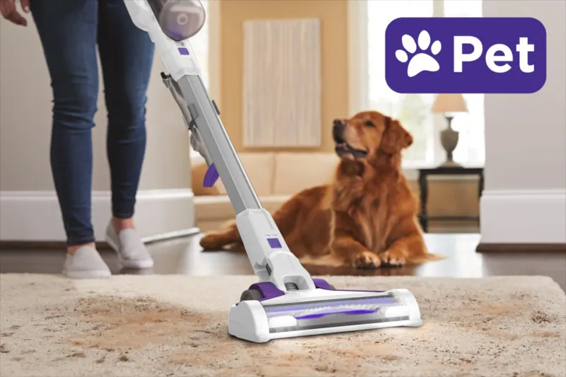 Staubsauger reinigt Teppich vor liegendem Hund. Violettes Haustier-Logo im Hintergrund. Person in Jeans und Schuhen steht links.