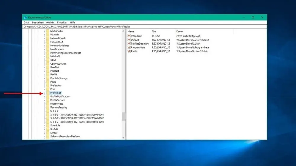 Fenster mit Registry-Editor zeigt ProfilList Ordnerstruktur auf weißem Grund mit blauem Hintergrund. Ein roter Pfeil zeigt auf ProfileList.