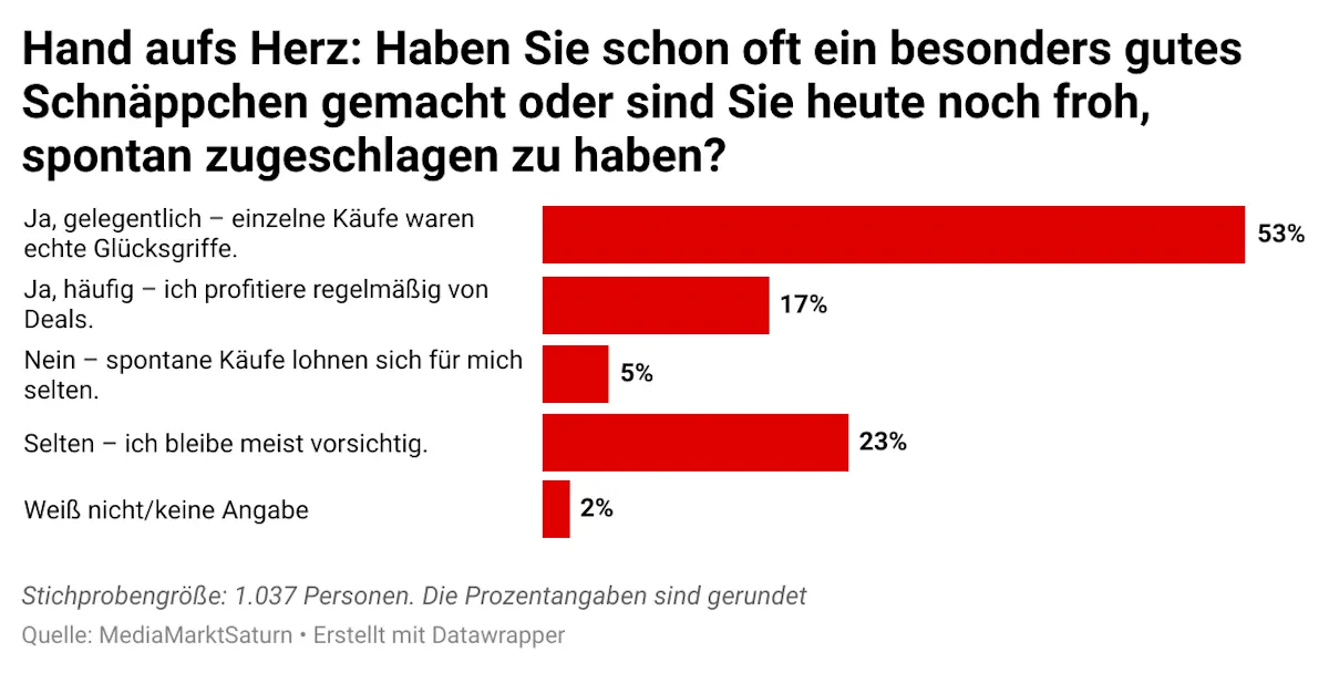 Balkendiagramm: Erfahrungen mit Schnäppchenkäufen: gelegentlich 53 %, häufig 17 %, selten vorsichtig 23 %, nein 5 %, weiß nicht/keine Angabe 2 %.