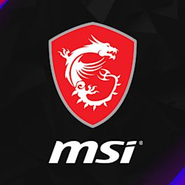 MSI