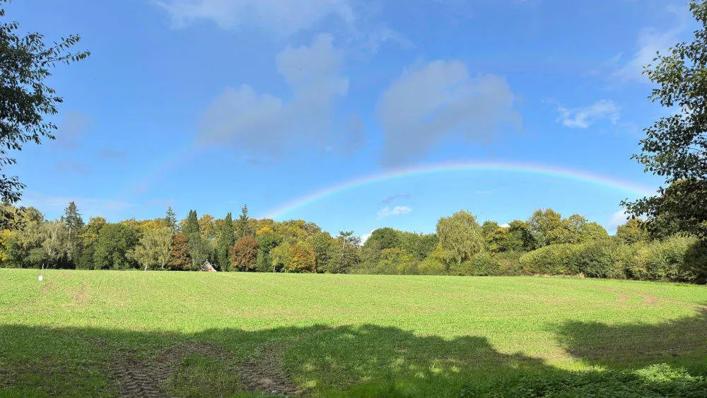 Grünes Feld unter blauem Himmel mit Bäumen und einem Regenbogen. Schatten liegen auf dem Feld.