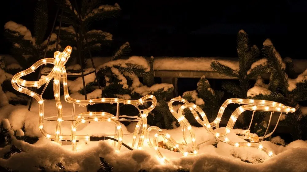 Eine beleuchtete Rentier- und Schlittendekoration steht im Schnee vor dunklen Bäumen bei Nacht.