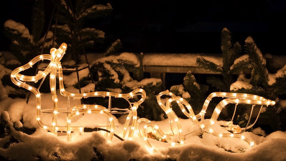 Rentier und Schlitten im Schnee
