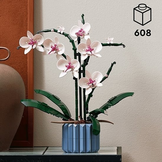 Zusammengebaute LEGO Botanical Collection 10311 Orchidee steht auf einem Beistelltisch als Dekoration