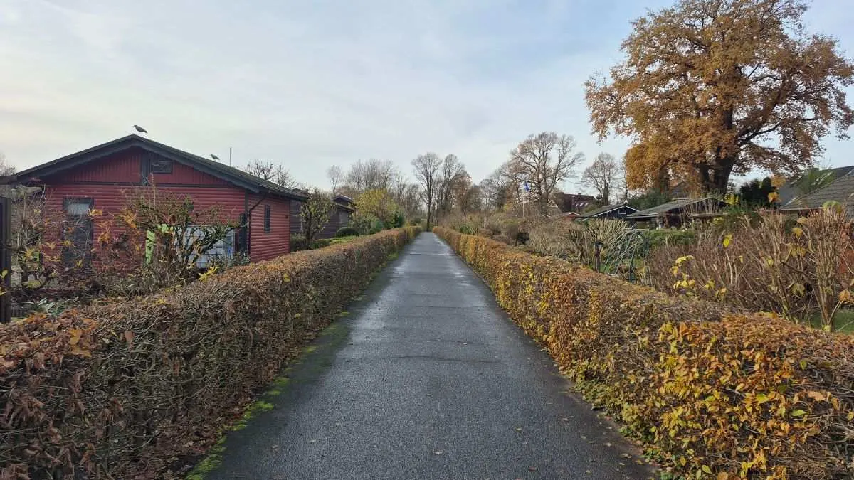 Ein Weg, gesäumt von braunen Hecken, führt zwischen kleinen Häusern und Bäumen hindurch unter einem bewölkten Himmel.