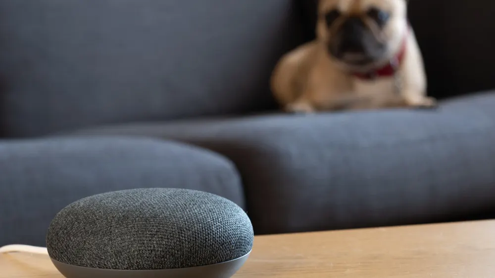 Auf einem Tisch steht ein grauer Smart Speaker, im Hintergrund liegt ein Hund auf einem blauen Sofa.