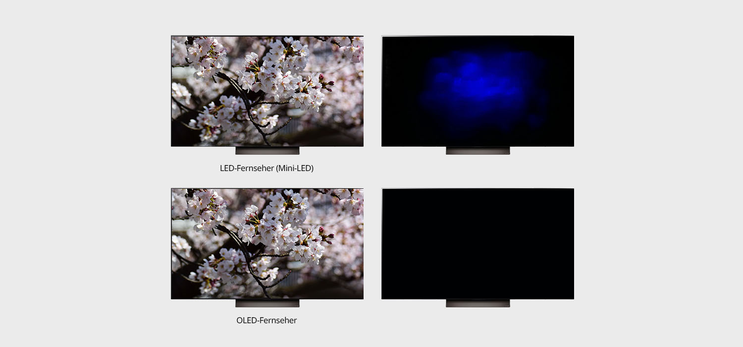MMS World Vier Fernseher im Vergleich: LED zeigt Kirschblüten und blaues Leuchten, OLED Kirschblüten mit tieferem Schwarz und dunklen Bildschirm
