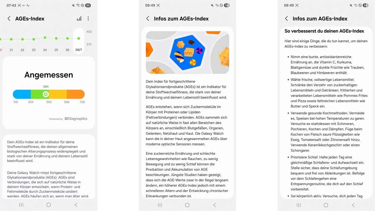 Drei Screenshots zeigen den AGEs-Index und Erklärungen dazu.