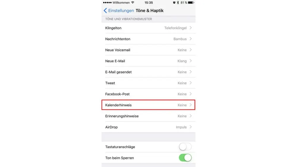 Bildschirmfoto eines iPhone-Menüs "Töne & Haptik" mit Optionen wie Klingelton, Nachrichtenton und Kalenderhinweis.