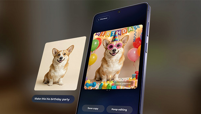 Vorher-Nachher-Gegenüberstellung des Creative Studios, mit dem das Foto eines Hundes bearbeitet wurde.