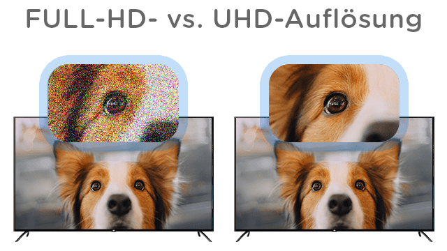 Die Ultra HD-Auflösung des 65