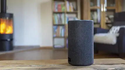 Ein grauer, zylindrischer Lautsprecher steht auf einem Holztisch. Im Hintergrund befinden sich ein Kamin, ein Bücherregal und ein Sessel.