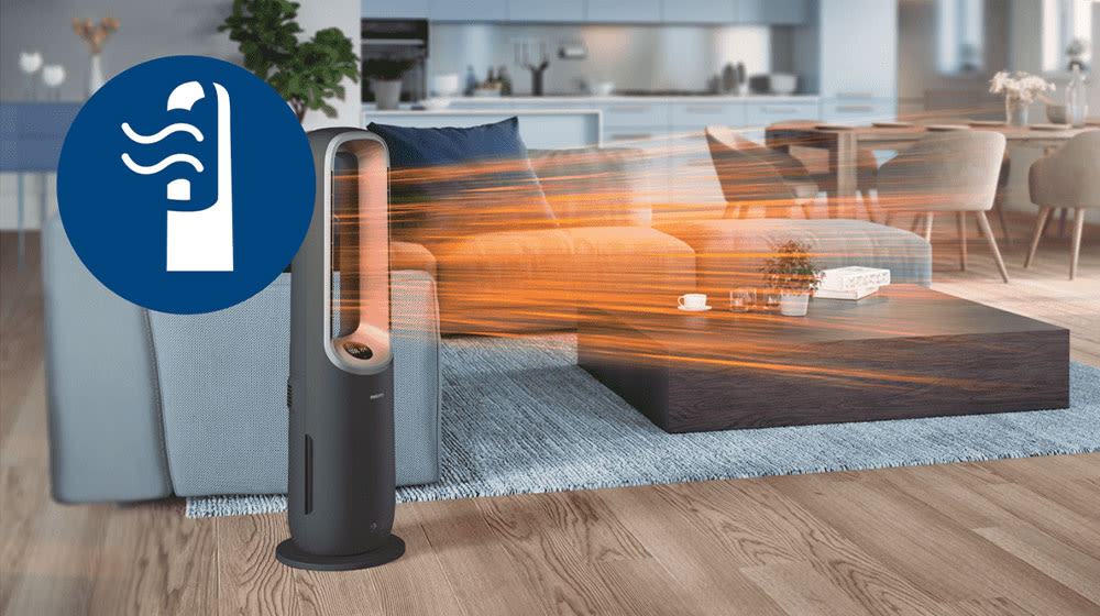 PHILIPS AMF870/15