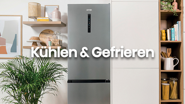 Grauer Kühlschrank steht neben weißen Schränken und einem Regal mit Büchern und Küchenutensilien. Eine grüne Pflanze ist auch zu sehen.