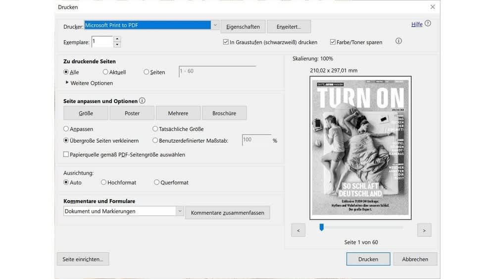 Screenshot der Microsoft Druck-Einstellungen zeigt die "Print to PDF"-Funktion.