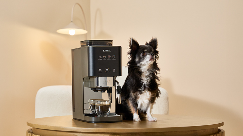 Ein kleiner schwarzer Schosshund sitzt auf einem Tisch neben der ebenso kleinen Krups Kaffeemaschine.