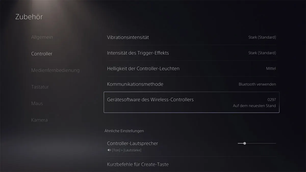 Dunkler Bildschirm zeigt Zubehör-Einstellungen mit Optionen wie Controller, Vibration, Helligkeit und Software-Version 0297.