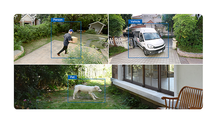 Überwachungskamera-Aufnahmen: Person vor Haus, Auto in Einfahrt, Hund im Garten. Blaue Rahmen markieren die Person, das Fahrzeug und das Haustier.