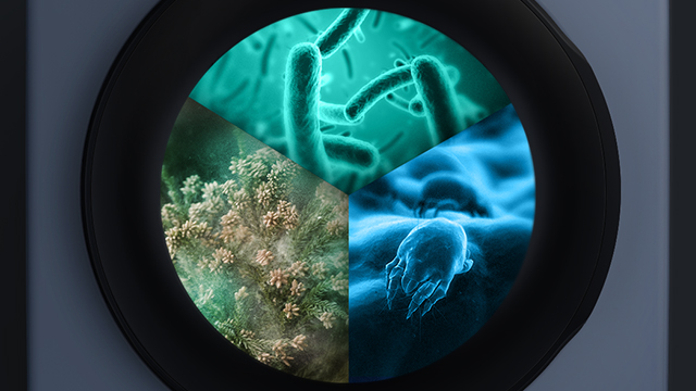 SAMSUNG WD81T554ABW/S2 WD5500 masina de spalat uscata