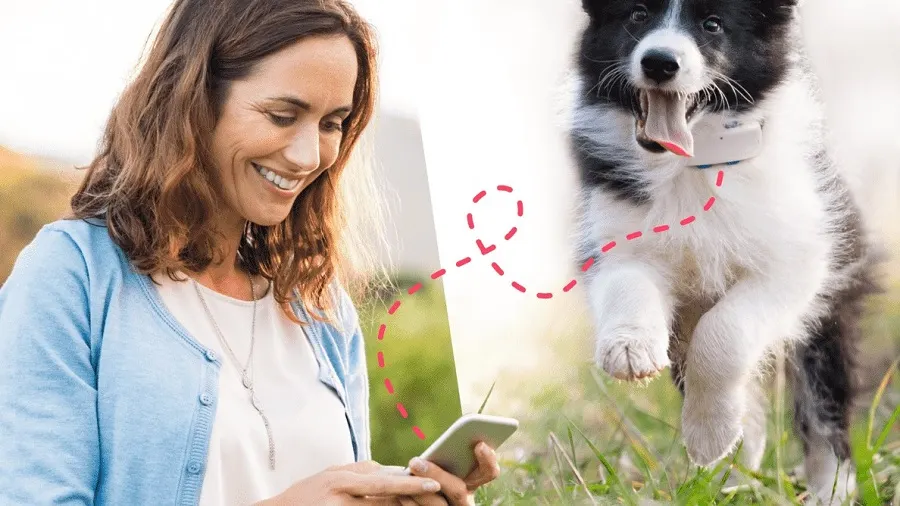 Frau mit Handy im Freien, verbunden mit einem schwarz-weißen Hund mit roter Linie.