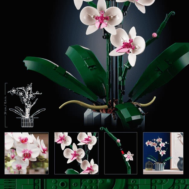 Detailansicht der Verpackung des LEGO Botanical Collection 10311 Orchidee Bausatz mit verschiedenen Detailansichten des Orchidee Modells