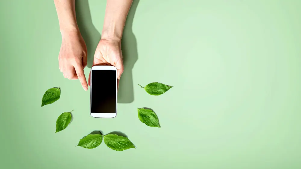 Hände halten ein Smartphone vor einer grünen Oberfläche, auf der Blätter liegen.