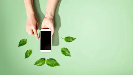 Auf hellgrünem Grund liegen Blätter um ein Smartphone, das von zwei Händen gehalten wird.