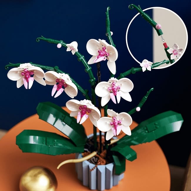 Zusammengebauter LEGO Botanical Collection 10311 Orchidee Bausatz mit Detailansicht der Steckverbindung der Staengel