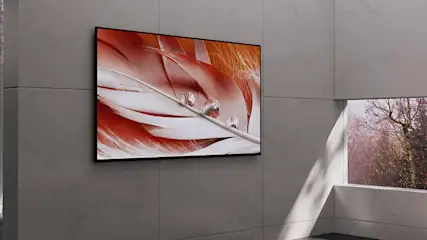 No ALT TEXT SET