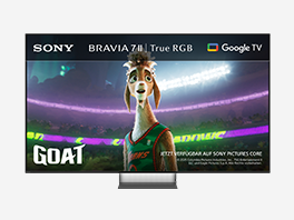 Gaming TVs