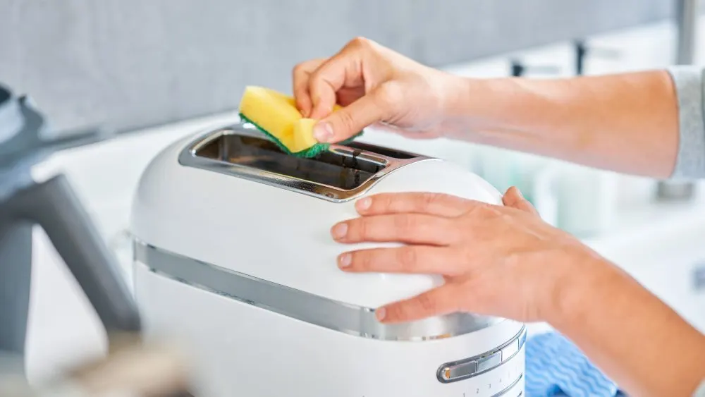 toaster_reinigen_schwamm_haende