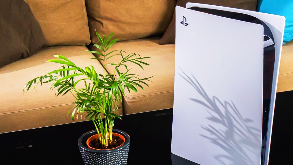Eine PS5 steht gemeinsam mit einer kleinen Zimmerpflanze auf einem Couchtisch.