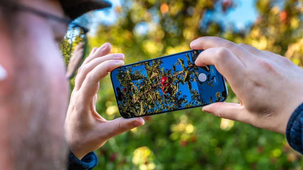 Andreas knipst mit dem iPhone 17 Pro Max draußen ein Foto vom Ast eines Apfelbaums.