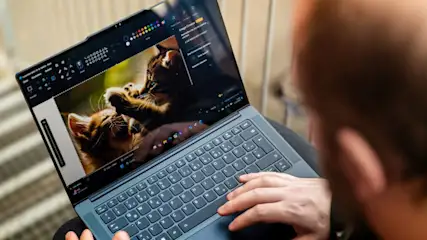 Eine Person tippt auf einem Laptop. Auf dem Bildschirm sind zwei spielende Kätzchen zu sehen, mit Bearbeitungswerkzeugen an den Seiten.