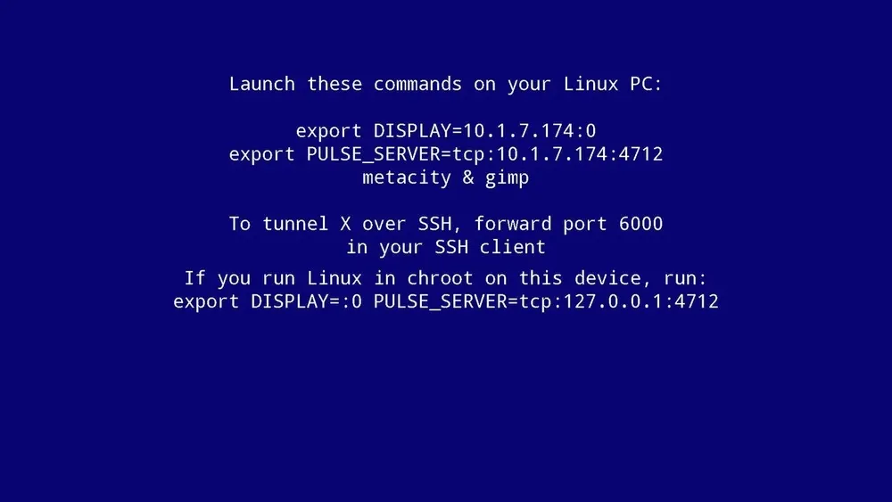 Blauer Bildschirm mit weißem Text, der Linux-Befehle zum Ausführen von Anwendungen aufführt. Erwähnt SSH-Tunneling und Chroot-Umgebungen.