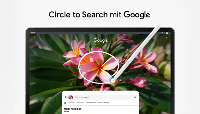 Tablet zeigt Google-Suche nach roter Frangipani-Blume, die mit einem weißen Stift umkreist wird, mit grünen Blättern.