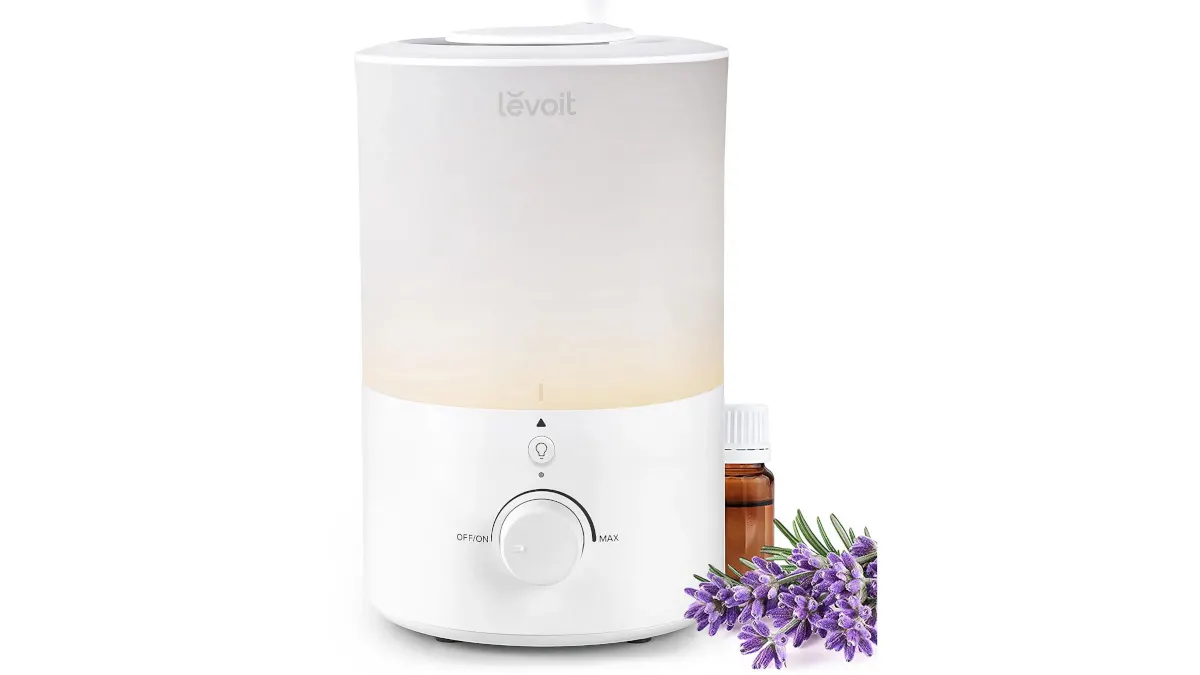 Der Luftbefeuchter Levoit Dual 150 steht vor einem weißen Hintergrund, daneben stehen ein braunes Ölfläschchen und ein Lavendelzweig.