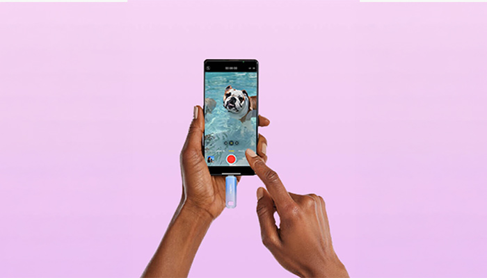 Hände halten Smartphone mit angestecktem USB‑Speicher; auf dem Display schwimmt eine Bulldogge im Pool, Aufnahme‑Taste sichtbar.