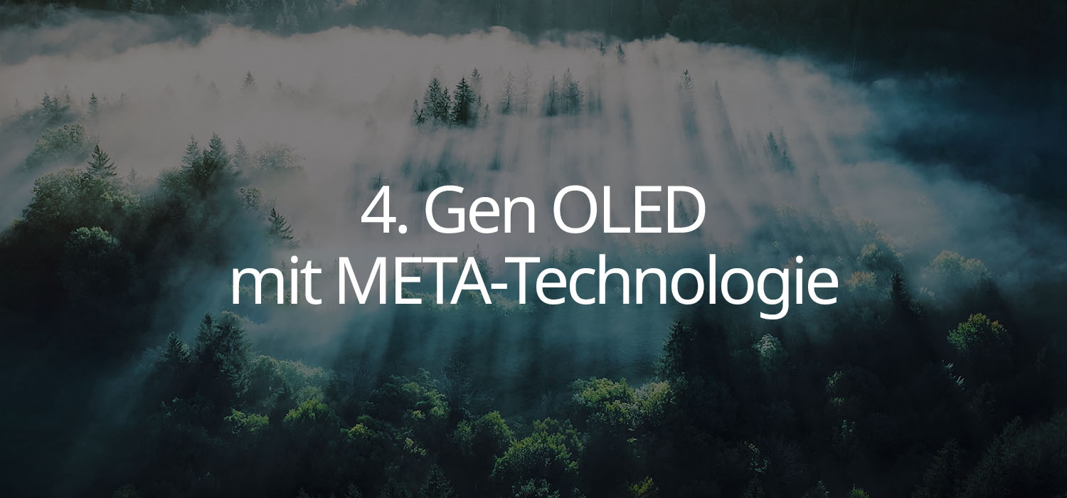 MMS World Wald im Morgennebel mit Sonnenstrahlen, darüber der Schriftzug: „4. Gen OLED mit META-Technologie“