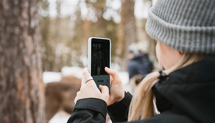 Person mit grauer Mütze fotografiert mit Smartphone im winterlichen Wald; unscharfer Hintergrund mit Menschen und Tieren.