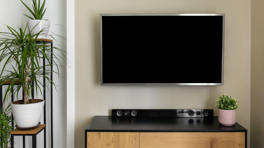Eine Soundbar unter einem TV und Pflanzen