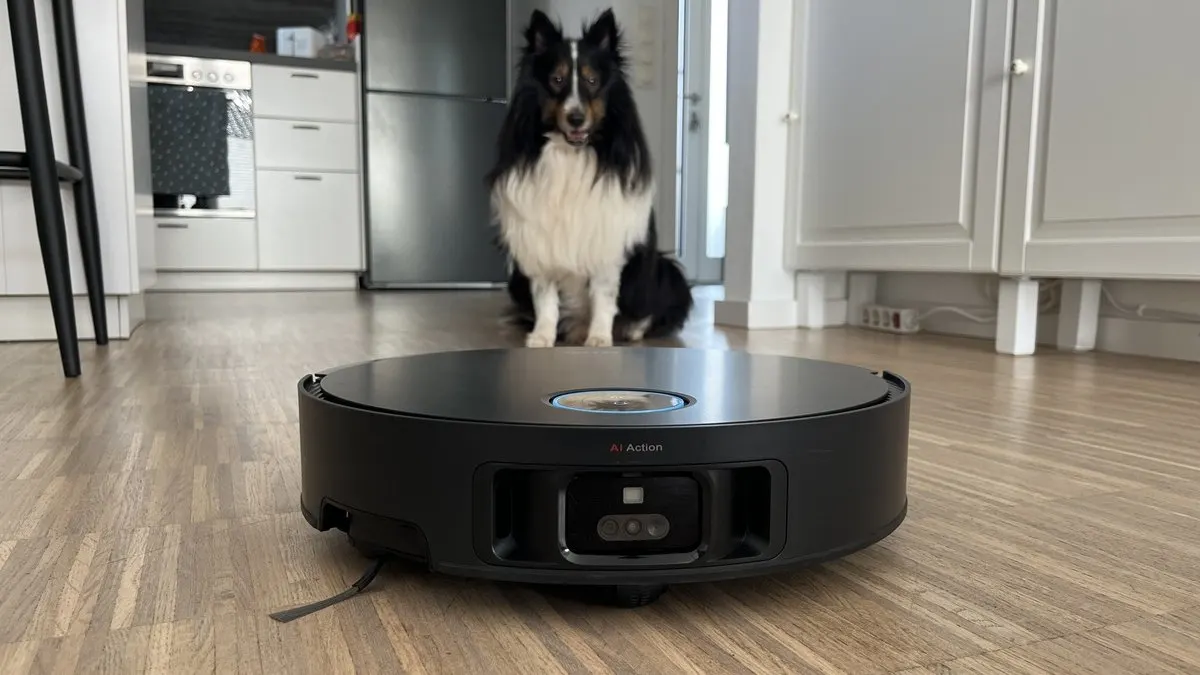 Ein schwarzer Saugroboter steht auf einem Holzboden, im Hintergrund sitzt ein schwarz-weißer Hund in einer Küche.